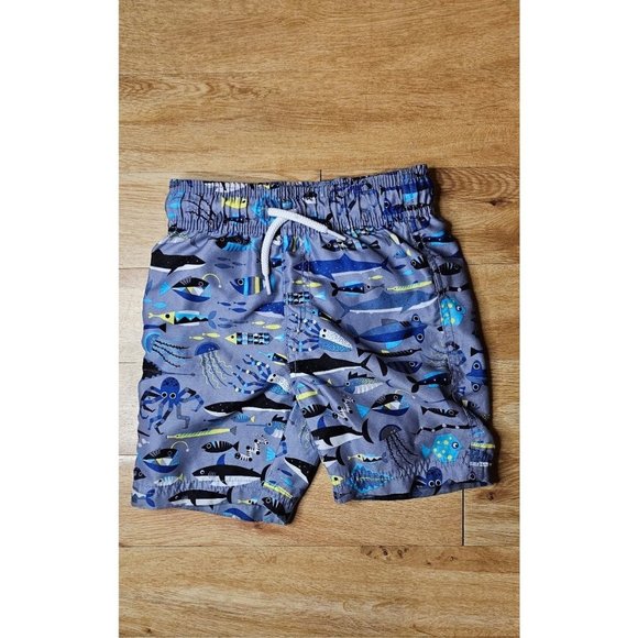 Toddler 4T Swim Trunks - Picture 1 of 3